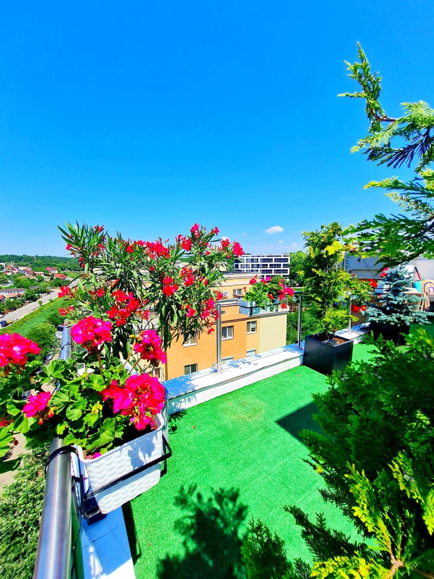 Penthouse View Aeroport Iasi Apartment Exterior photo
