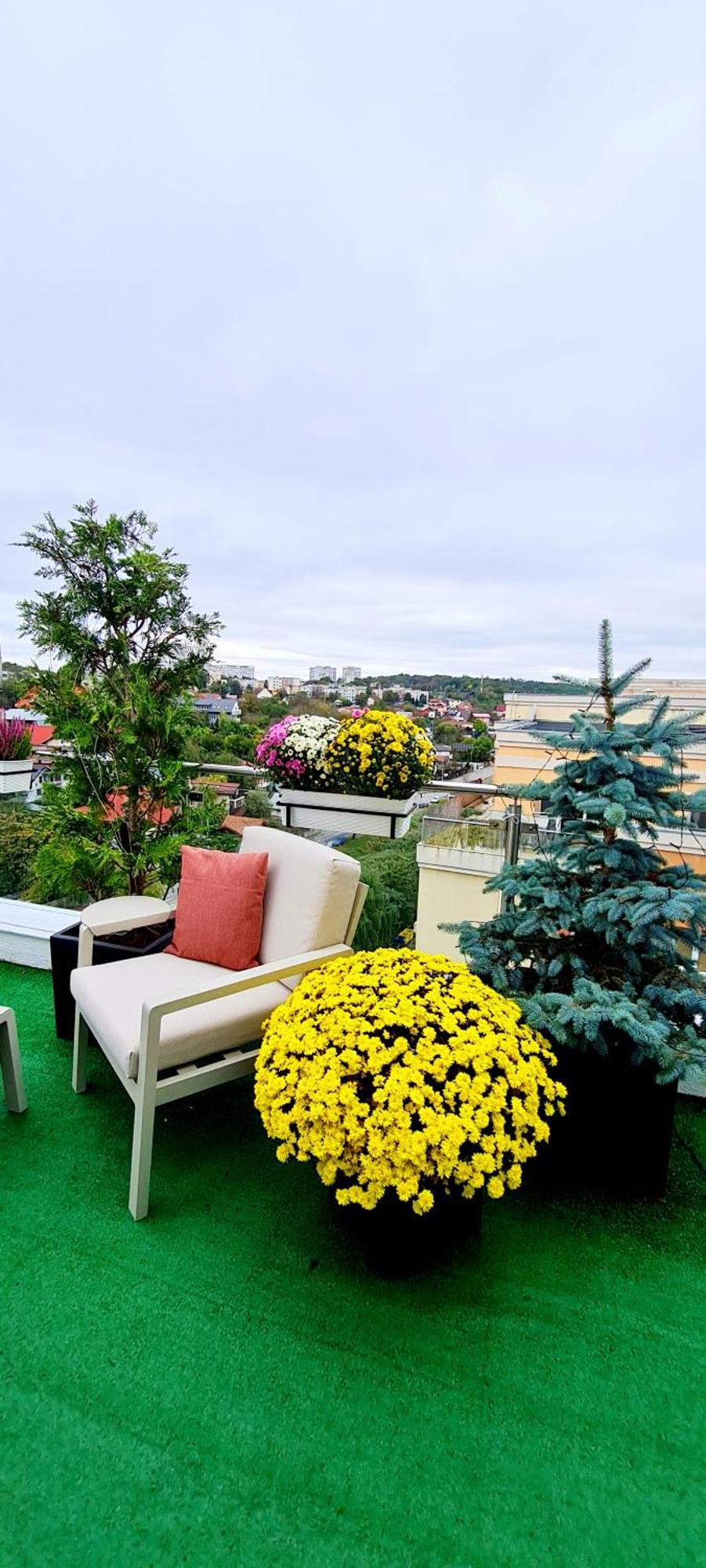 Penthouse View Aeroport Iasi Apartment Exterior photo